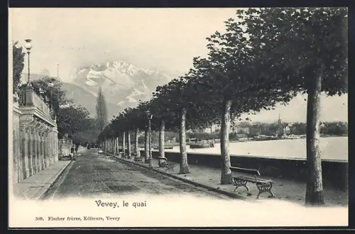 AK Vevey, Le quai