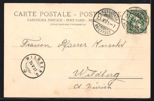 AK Rorschach, Hafen mit Dampfern