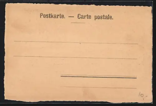 Lithographie Genève, Panorama et Château vieux, Hospital et Boulevard de Loye