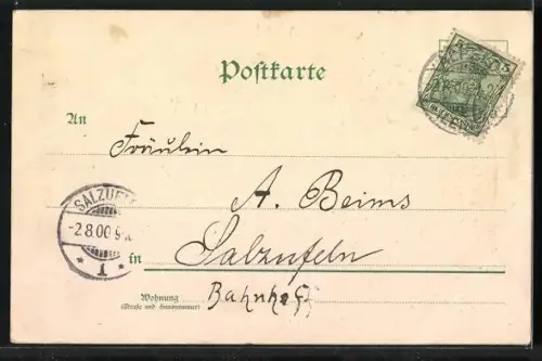 Holzbrand-Imitations-AK Blondes Fräulein mit Haube, Mohnblumen