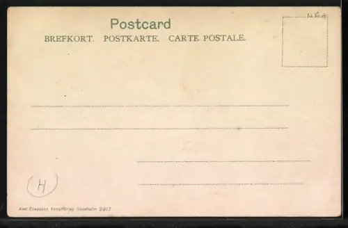 AK Linköping, Strassenpartie an der Kirche