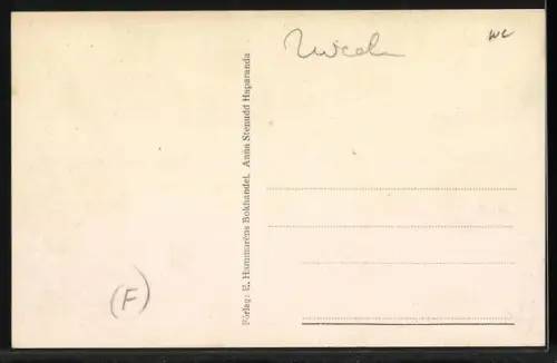 AK Haparanda, Vy över staden mot Tornea