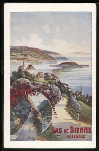 Künstler-AK Biel /Bienne, Lac de Bienne, Teilansicht