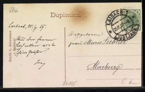 AK Laibach, Totalansicht aus der Vogelschau