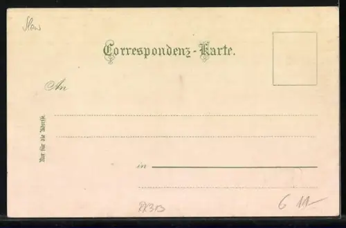 AK Celje / Cilli, Teilansicht mit Burg, Villa Sanneck um 1900