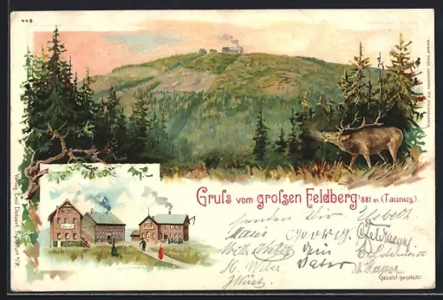 Lithographie Feldberg / Taunus, Blick auf den Grossen Feldberg