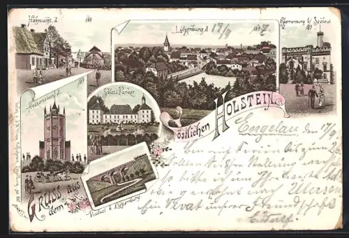 Lithographie Hohwacht /Holstein, Schloss Panker, Viadukt, Hessenstein, Blomenburg
