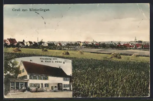 AK Winterlingen, Handlung von M. Koch z. Farbe, Ortsansicht vom Feld aus
