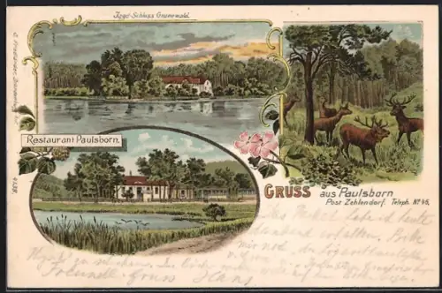 Lithographie Berlin-Grunewald, Restaurant Paulsborn, Jadgschloss, Hirsche im Wald
