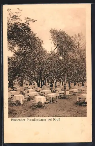 AK Berlin-Tiergarten, Cafe-Terrasse Krolloper, Blühender Paradiesbaum bei Kroll