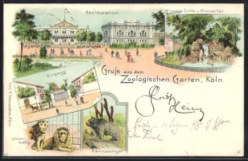 Lithographie Köln, Zoo, Eingang, Restaurant, Bärenzwinger, Löwen-Käfig