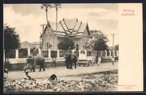 AK Bangkok, Working elephants