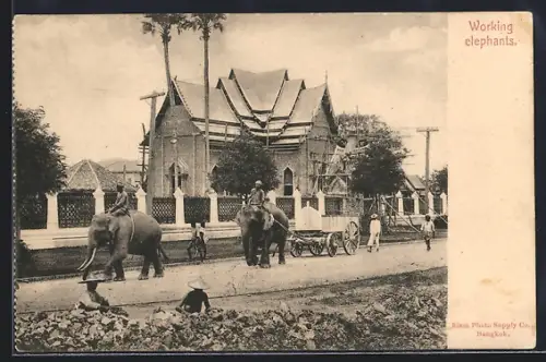 AK Bangkok, Working Elephants