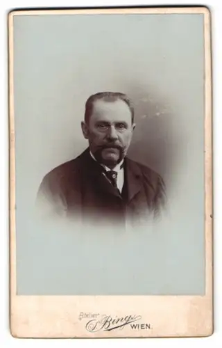 Fotografie Sigmund Bing, Wien, Goldschmidgasse 4, Porträt eines Herrn