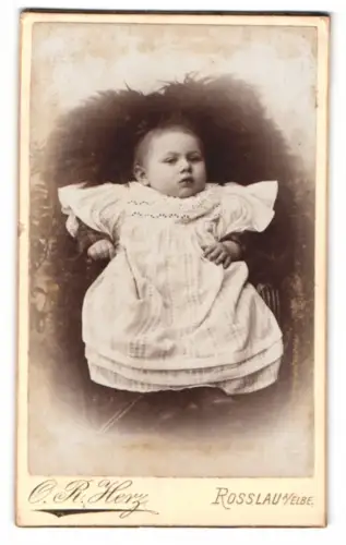 Fotografie O. R. Herz, Rosslau a. Elbe, Kleinkind in Rüschenkleid