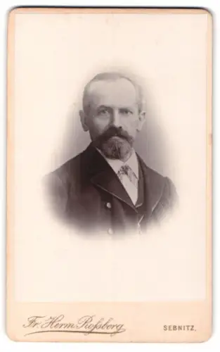 Fotografie Fr. Herm. Rossberg, Sebnitz, Böhmische Strasse 318 Q, Porträt eines Mannes mit Bart