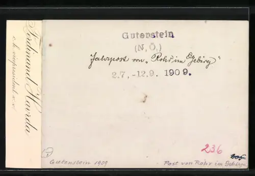 Fotografie Ansicht Gutenstein / N.Ö., Partie im Ort mit Postkutsche von Rohr im Gebirge, 1909
