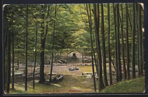 AK Sorau /N.-L., Euterpe