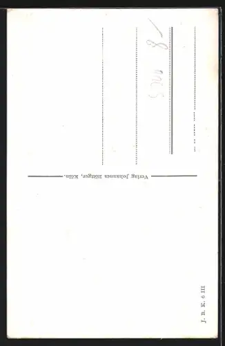 AK Godesberg, Gasthaus Zur Lindenwirtin, Blick zur Godesburg