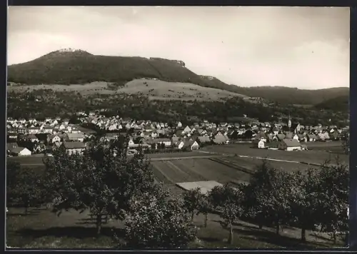 AK Owen-Teck /Schwäbische Alb, Blick auf den Ort