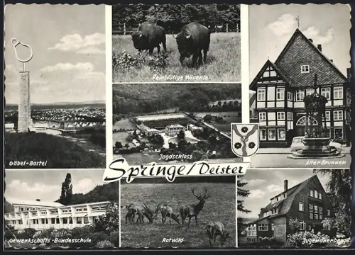 AK Springe /Deister, Partien am Alten Brunnen, Gewerksschafts-Bundesschule und Höbel-Bastei