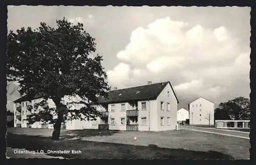 AK Oldenburg / Gr., Partie am Ohmstedter Esch