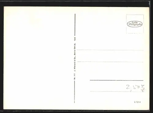 AK Berlin, Blumenstände und Busse am Leipziger Platz