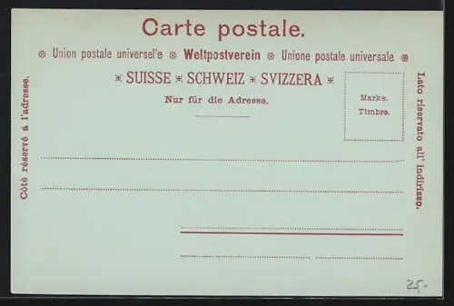 Mondschein-AK Zürich, Limmatquai mit Ortspanorama aus der Vogelschau