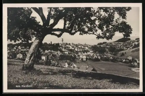 AK Heiden, Ortsansicht