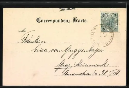 AK Villach, Blick zur Wasserheilanstalt Mittewald