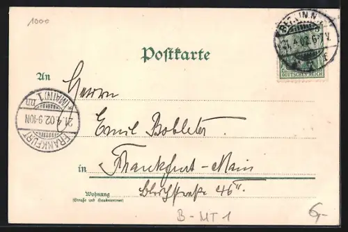 Lithographie Berlin, Neuer Dom, Blumen