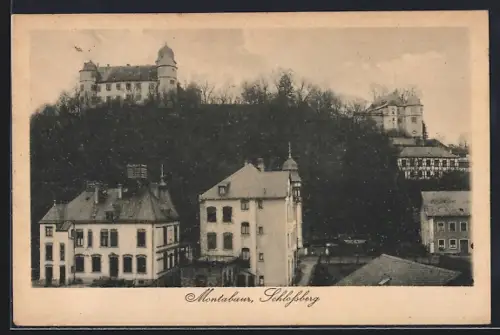 AK Montabaur, Schlossberg aus der Vogelschau
