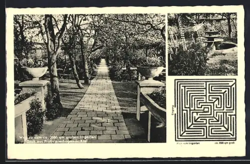 AK Probsteierhagen b. Kiel, Irrgarten, Gasthaus Zum Irrgarten, Inh. A. Martini, Gartenansicht, Labyrinth