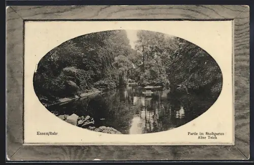 Präge-AK Essen /Ruhr, Alter Teich im Stadtgarten, Passepartout