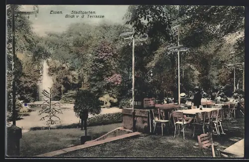AK Essen, Stadtgarten, Blick von der Terrasse