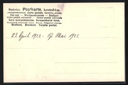 AK Blankenburg / Thür. Wald, Ruine Greifenstein