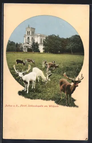 AK Putbus a. R., Fürstl. Schlosskapelle am Wildpark