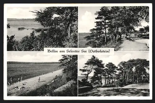AK Bellin / Holst., Selenter See und Waldpartie