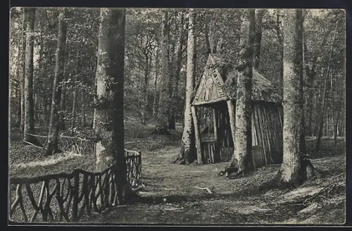 AK Ascheberg / Holstein, Wegpartie im Park