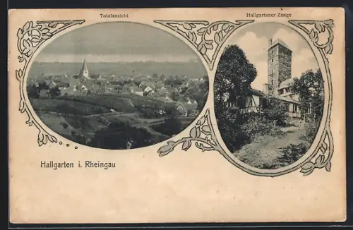 AK Hallgarten i. Rheingau, Totalansicht, Hallgartener Zange