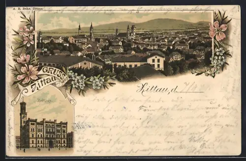 Lithographie Zittau, Panorama, Rathaus