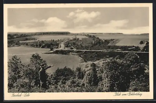 AK Steinbeck /Luhe, Blick vom Hohlortsberg