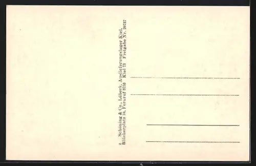 AK Kiel, Kl. Kiel vom Rathausturm