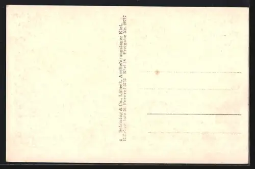 AK Kiel, Stadttheater, Rathaus