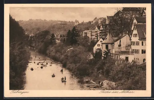 AK Tübingen, Partie am Neckar