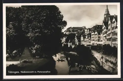AK Tübingen, Neckaransicht, Platanenallee