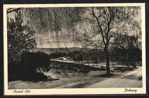 AK Steinbeck /Luhe, Birkenweg, Landschaftsansicht
