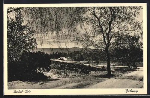 AK Steinbeck /Luhe, Birkenweg, Landstrassenpartie