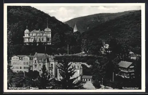 AK Schlangenbad i. Taunus, Schweizertal
