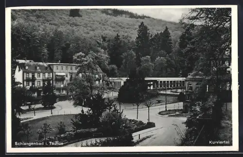 AK Schlangenbad i. Taunus, Strassenpartie im Kurviertel